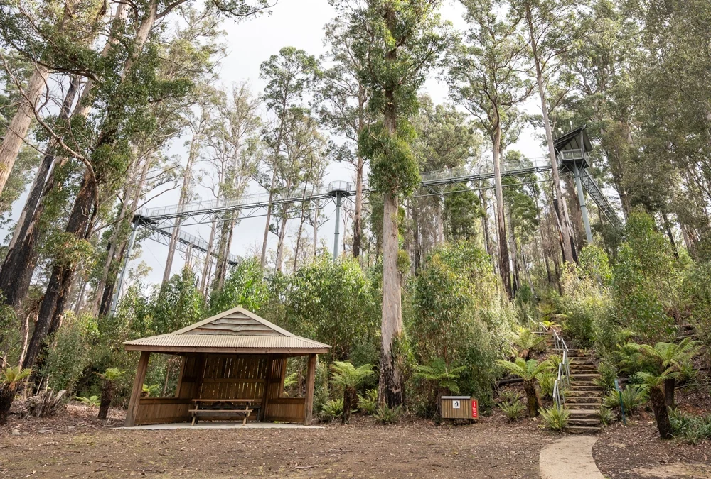 Tahune Nature Reserve and Mount Wellington