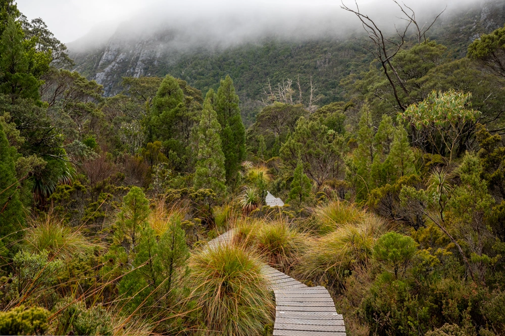 Cradle Mountain